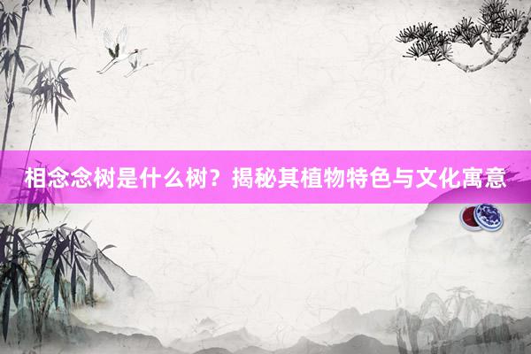 相念念树是什么树？揭秘其植物特色与文化寓意