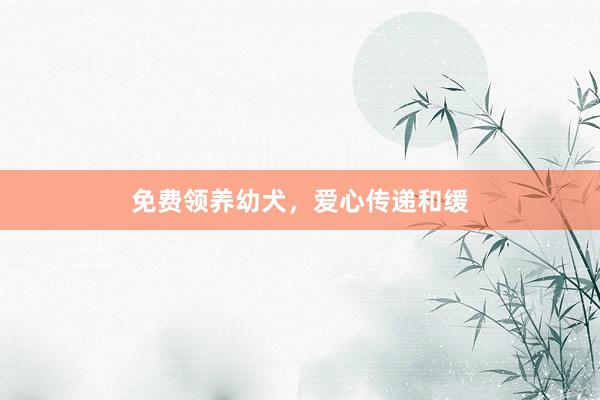 免费领养幼犬，爱心传递和缓