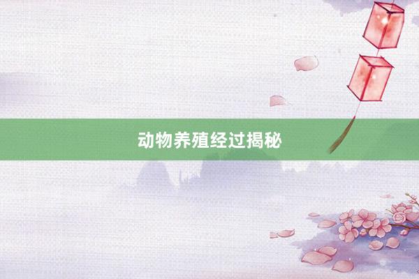 动物养殖经过揭秘
