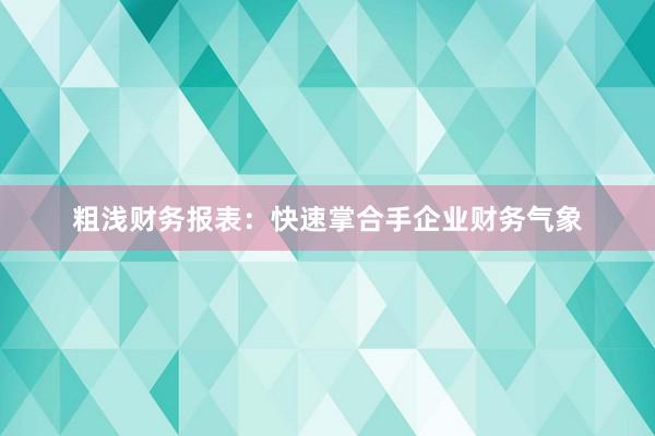 粗浅财务报表:快速掌合手企业财务气象
